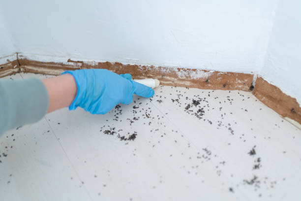 Best Pest Prevention Services  in Womelsdorf, PA